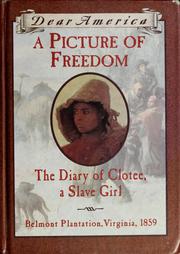 A picture of freedom : the diary of Clotee, a slave girl  Cover Image