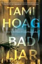 Bad liar : a novel Book cover