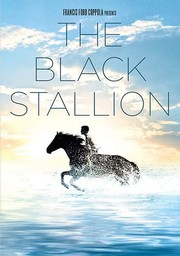 The Black stallion  Cover Image