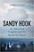 Go to record Sandy Hook : an American tragedy and the battle for truth
