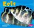 Go to record Eels