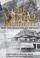Go to record The Venlo incident : a true story of double-dealing, capti...